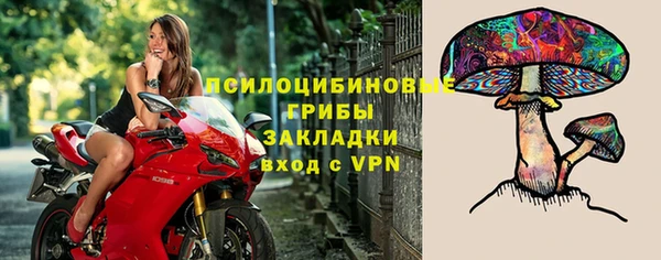бошки Абдулино