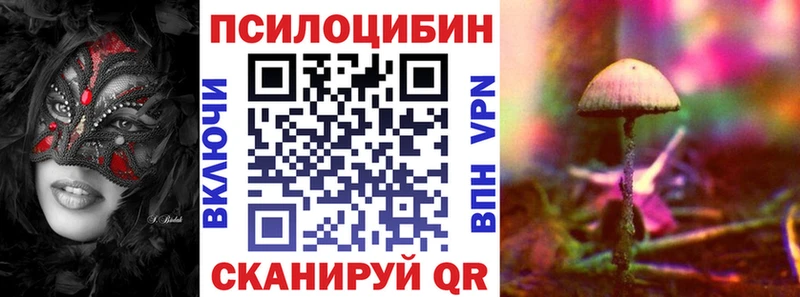 Галлюциногенные грибы Psilocybe  хочу наркоту  гидра онион  Торжок 